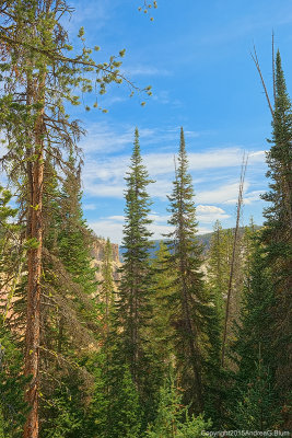 Artist's Point