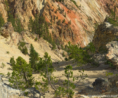 Artist's Point