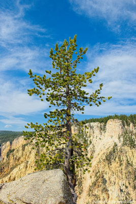 Artist's Point