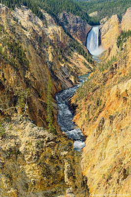Lower Falls
