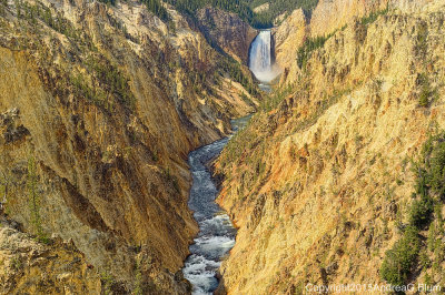Lower Falls