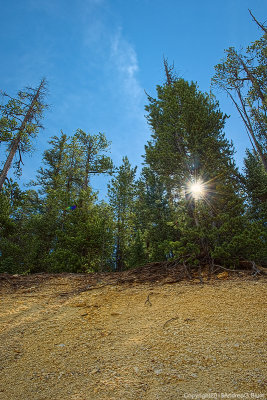Gallery: Artist's Point & Lower Falls (36)