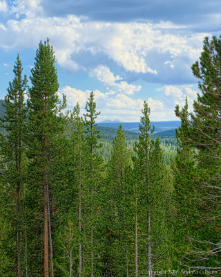 Shoshone Lake Overview: Pretty Scene Even without the Lake