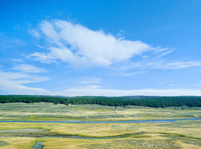 Yellowstone River