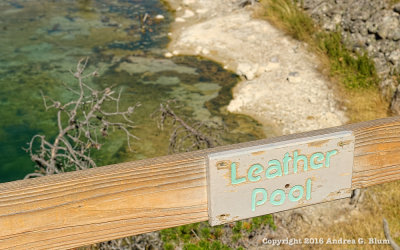 Leather Pool