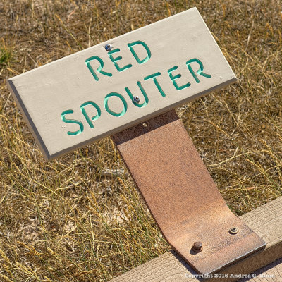 Red Spouter