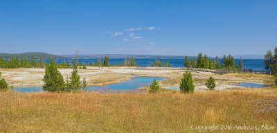 West Thumb Geyser Basin