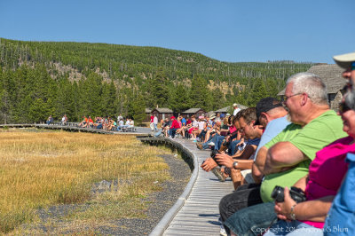 People Watching Old Faithful