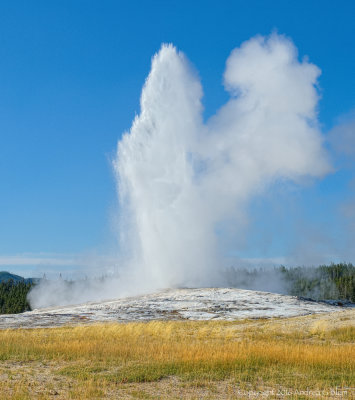 Yellowstone National Park:  Day 2