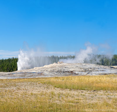 Beehive Geyser Erupting 2