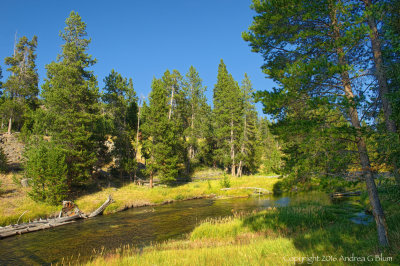 Firehole River in Old Faithful Area