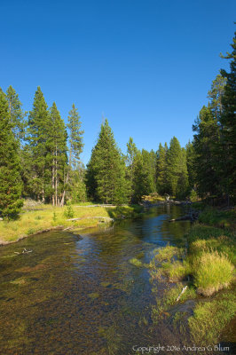 Firehole River in Old Faithful Area