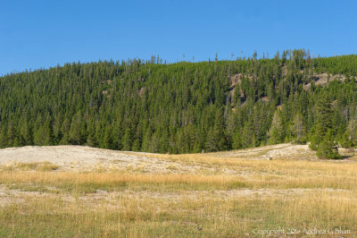 Scene near Old Faithful