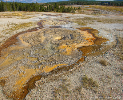 Anemone Geyser Stops