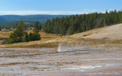 Scene near Ear Spring
