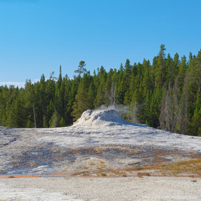 Which Geyser Is This?