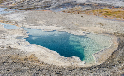 Gallery: Heart Spring (4)