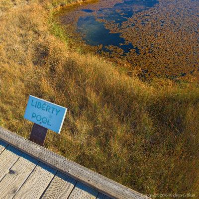 Liberty Pool Sign