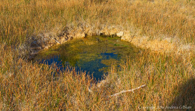 Thermal Pool 3