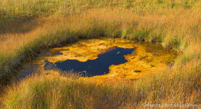 Thermal Pool 4a