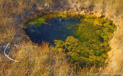 Thermal Pool 5