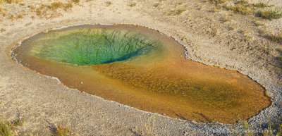 Gallery: Belgian Pool (5)