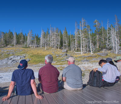 Waiting for the Geyser that Never Erupted