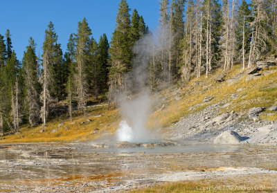 Grand Geyser Tries to Erupt...
