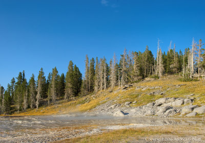 Grand Geyser Scene