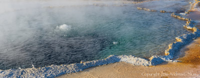 Crested Pool (detail)