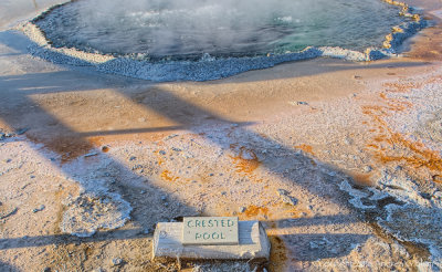 Crested Pool Sign