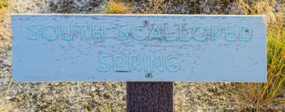 Scalloped Spring Sign