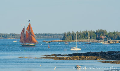 Windjammer Angelique