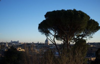 DSCF3315.jpg