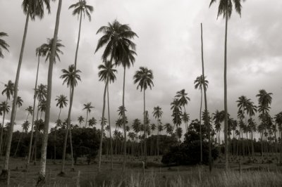 DSCF3858.jpg