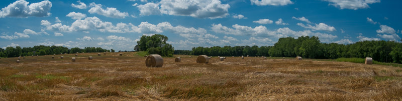 A Fine Summer Day