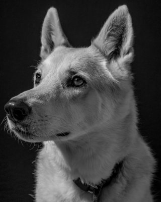 g9/88/312588/3/161319054.jtBVM3r4.jpg