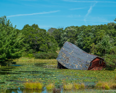 That Sinking Feeling