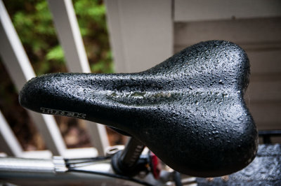 20130707DSC_1763.jpg