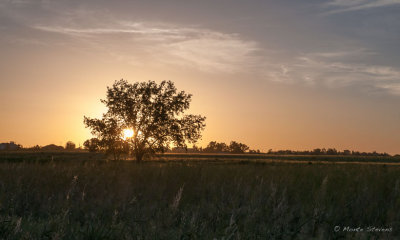 20130612_DSC0949.jpg