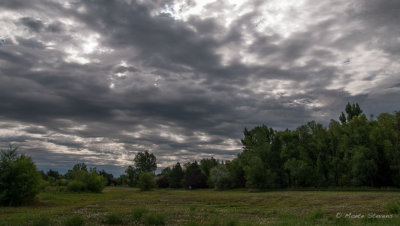 20130719DSC_2164.jpg