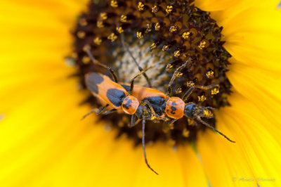 20110824-_DSC1698.jpg