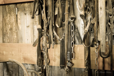 Bridles and Things