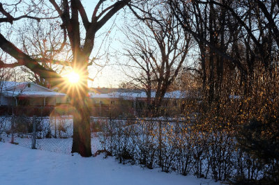 Rising Sun