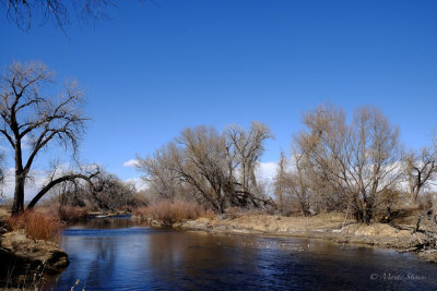 Poudre River at the ELC