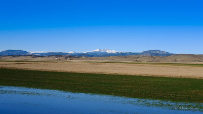 Clear Blue Skies 