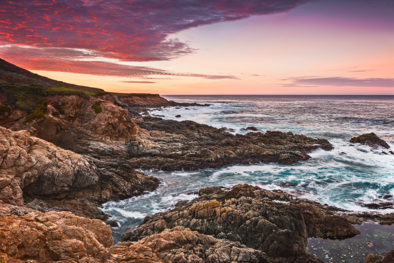 Garrapata_20101228_57-734.JPG