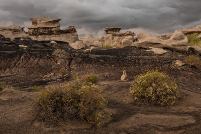 Bisti Badlands-117.jpg