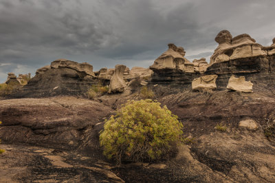 Bisti Badlands-129.jpg