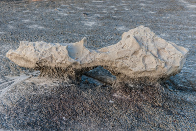 Bisti Badlands-204.jpg